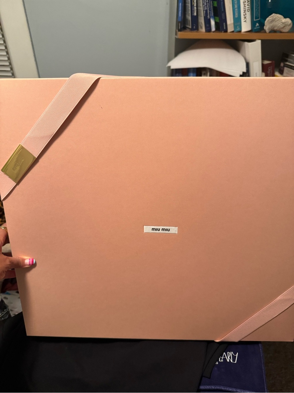 Miu Miu Pale Pink Ribbon Storage Box